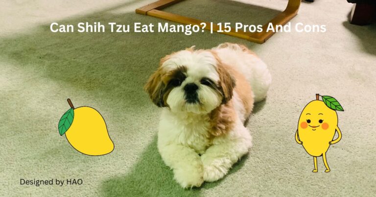 Can Shih Tzu Eat Mango? | 15 Pros And Cons 