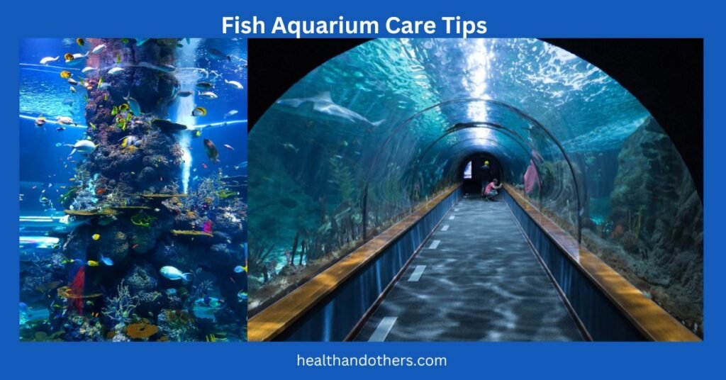 How To Take Care Of Fish Aquarium At Home? 20 Easy Care Tips - Tiny Aquarium Care Tips