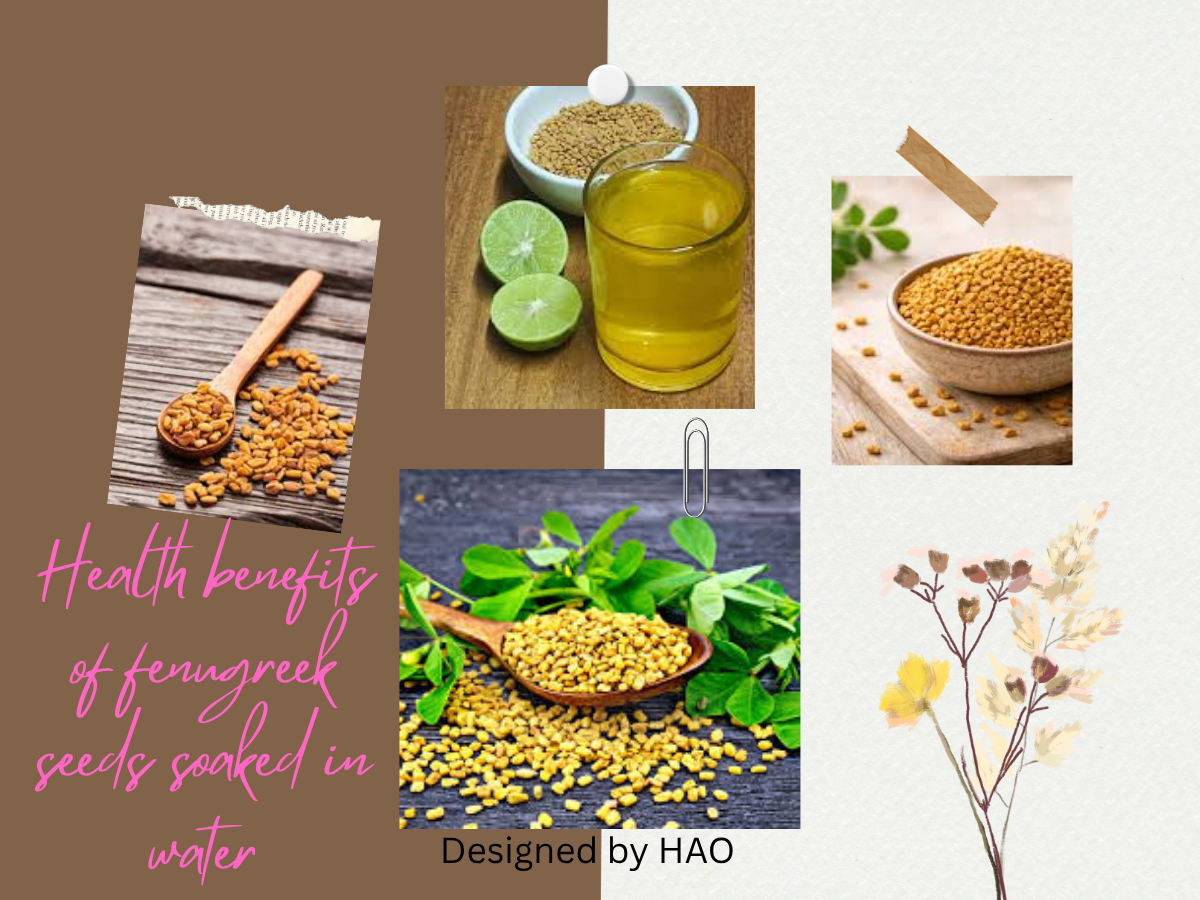 Health Benefits of Fenugreek Seeds Soaked in Water