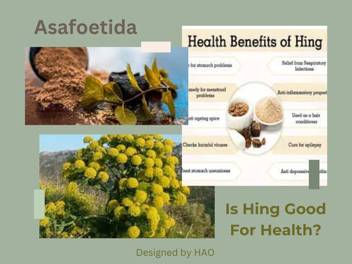 Is Hing Good For Health?